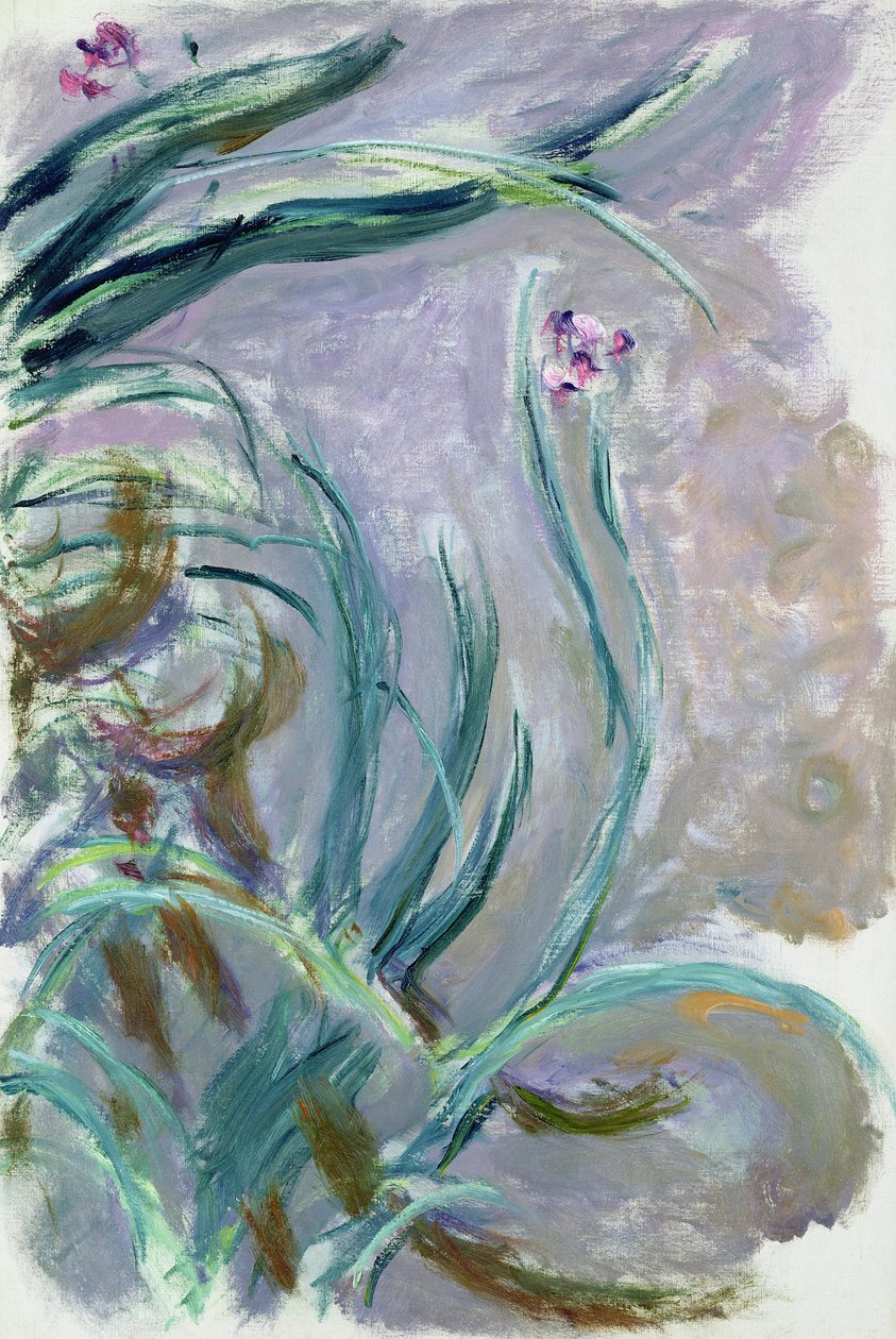 Iris, 1924-25 de Claude Monet