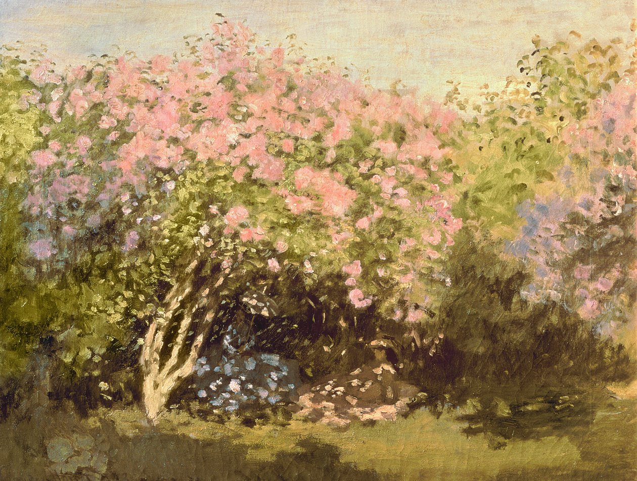 Lila al sol, 1873 de Claude Monet