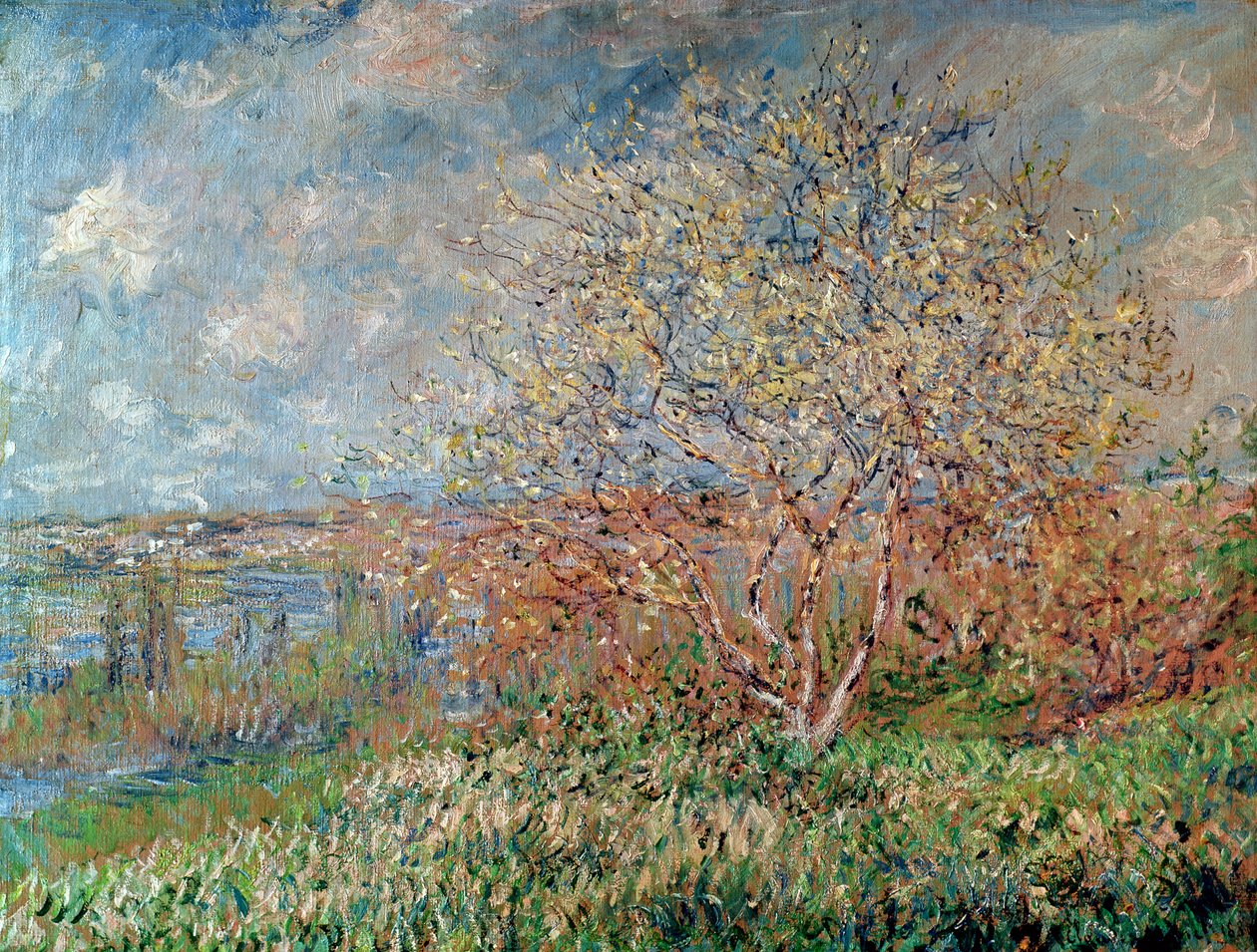 Primavera, 1880-82 de Claude Monet