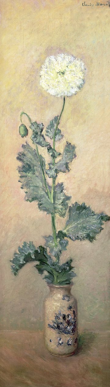 Amapola blanca, 1883 de Claude Monet