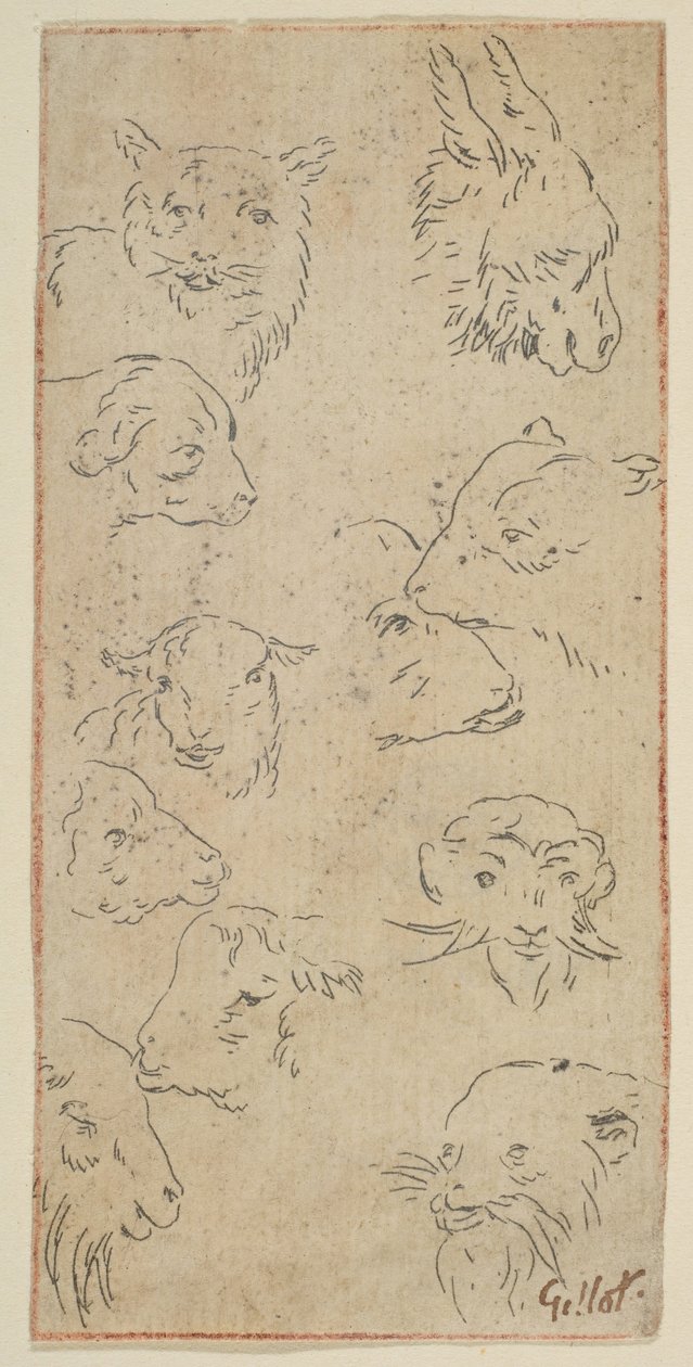 Estudio de cabezas de animales de Claude Gillot