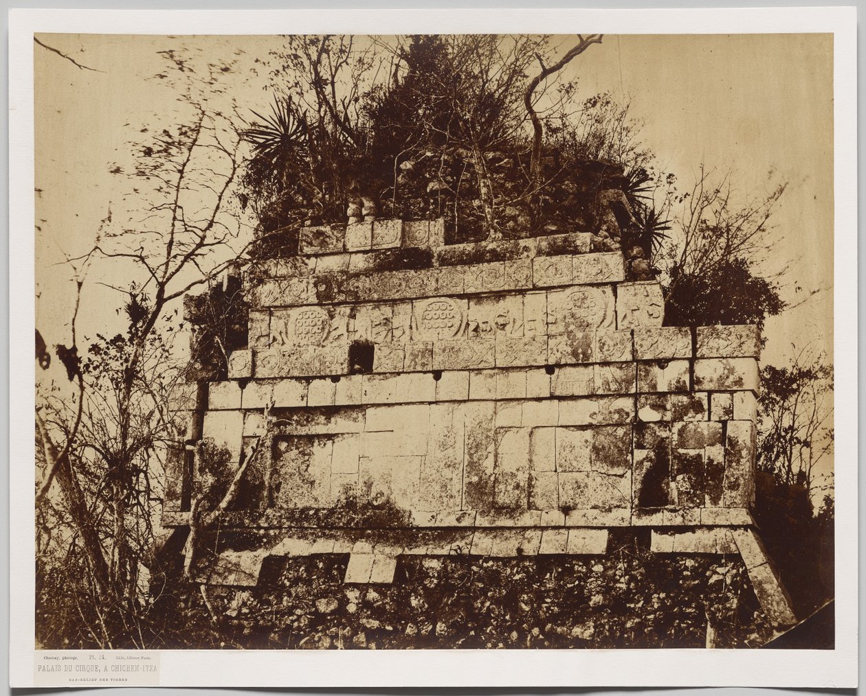 Palacio del Circo en Chichén-Itzá (bajorrelieve de tigres) de Claude Joseph Désiré Charnay