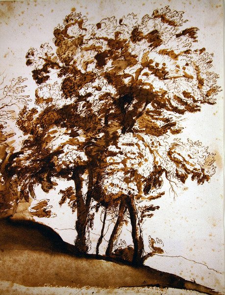 Un grupo de árboles a la luz del sol de Claude Lorrain