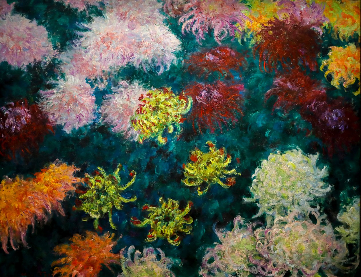 Cama de crisantemos de Claude Monet