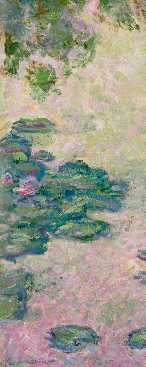 Nenúfares (fragmento), c.1912 (óleo sobre lienzo) de Claude Monet