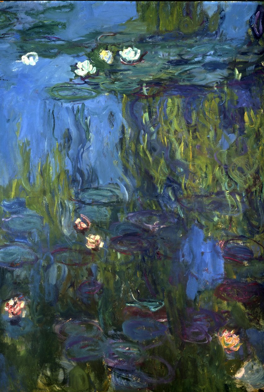 Nenúfares, 1914-17 de Claude Monet