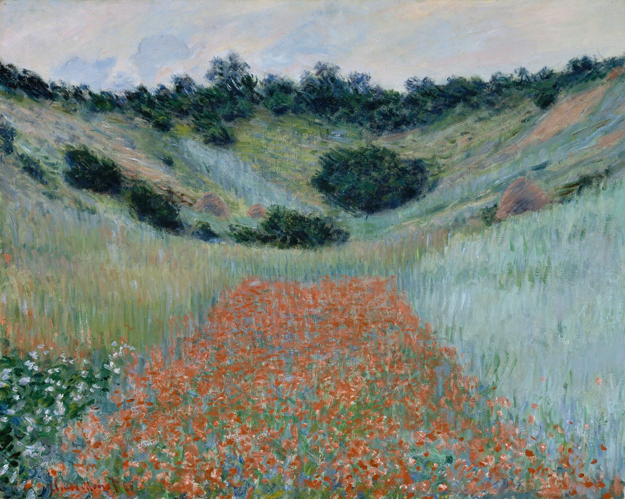 Campo de amapolas en una hondonada cerca de Giverny de Claude Monet