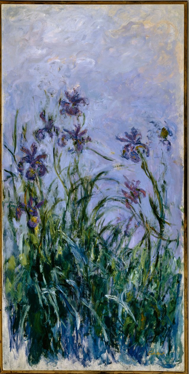 Iris Púrpuras, 1914-17 de Claude Monet