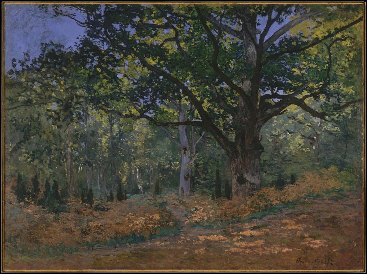 El Roble Bodmer, Bosque de Fontainebleau, 1865 de Claude Monet