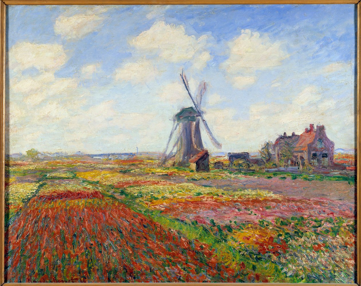 Campos de tulipanes en Holanda (con un molino de viento) de Claude Monet