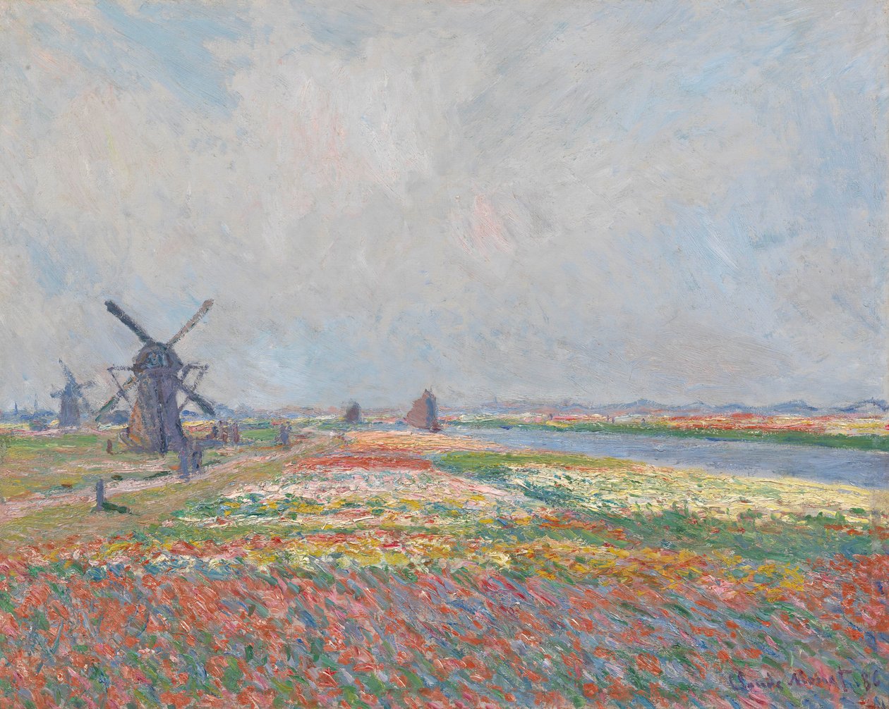 Campos de tulipanes cerca de La Haya de Claude Monet