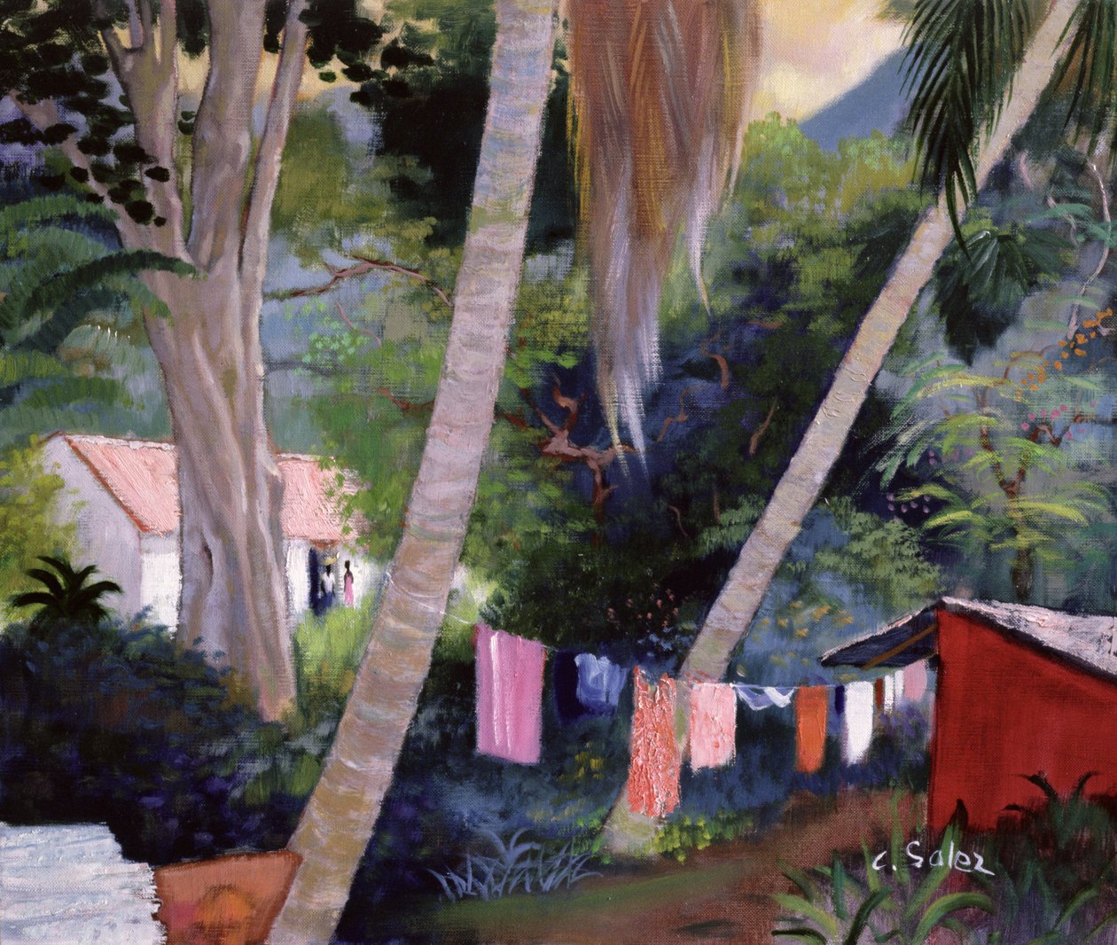 Ropa secándose, Guadalupe de Claude Salez