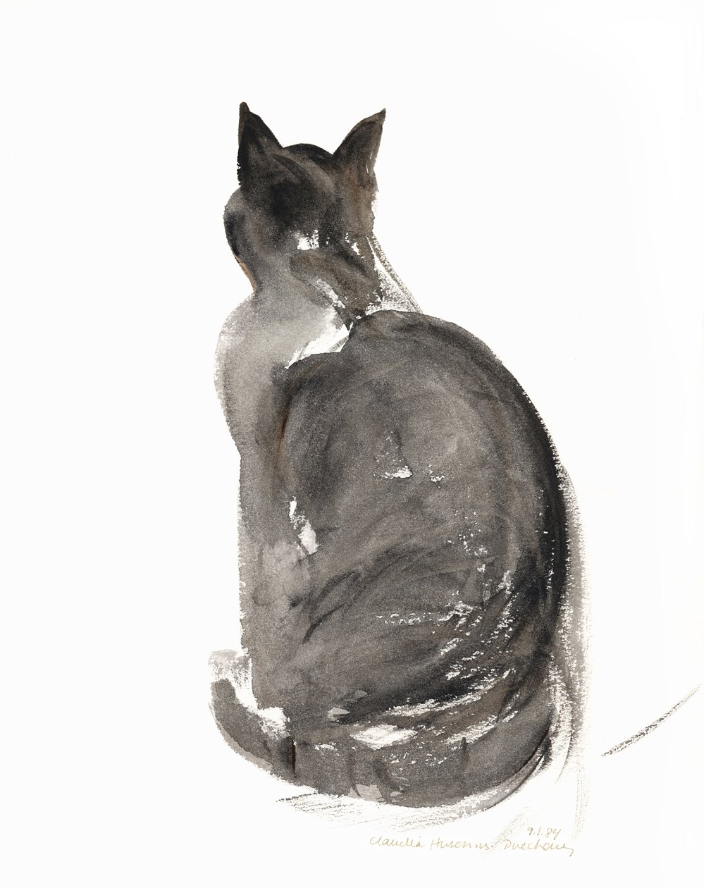 Gato, 1985 de Claudia Hutchins Puechavy