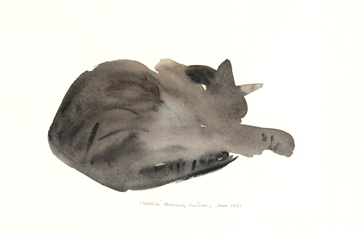 Gato durmiendo, 1985 de Claudia Hutchins Puechavy