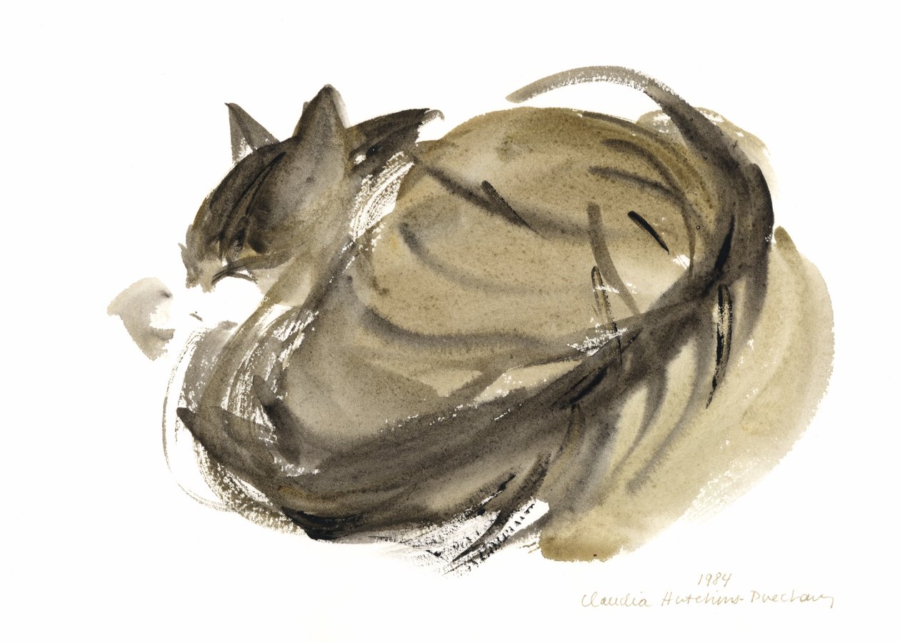 Gato Durmiendo de Claudia Hutchins-Puechavy