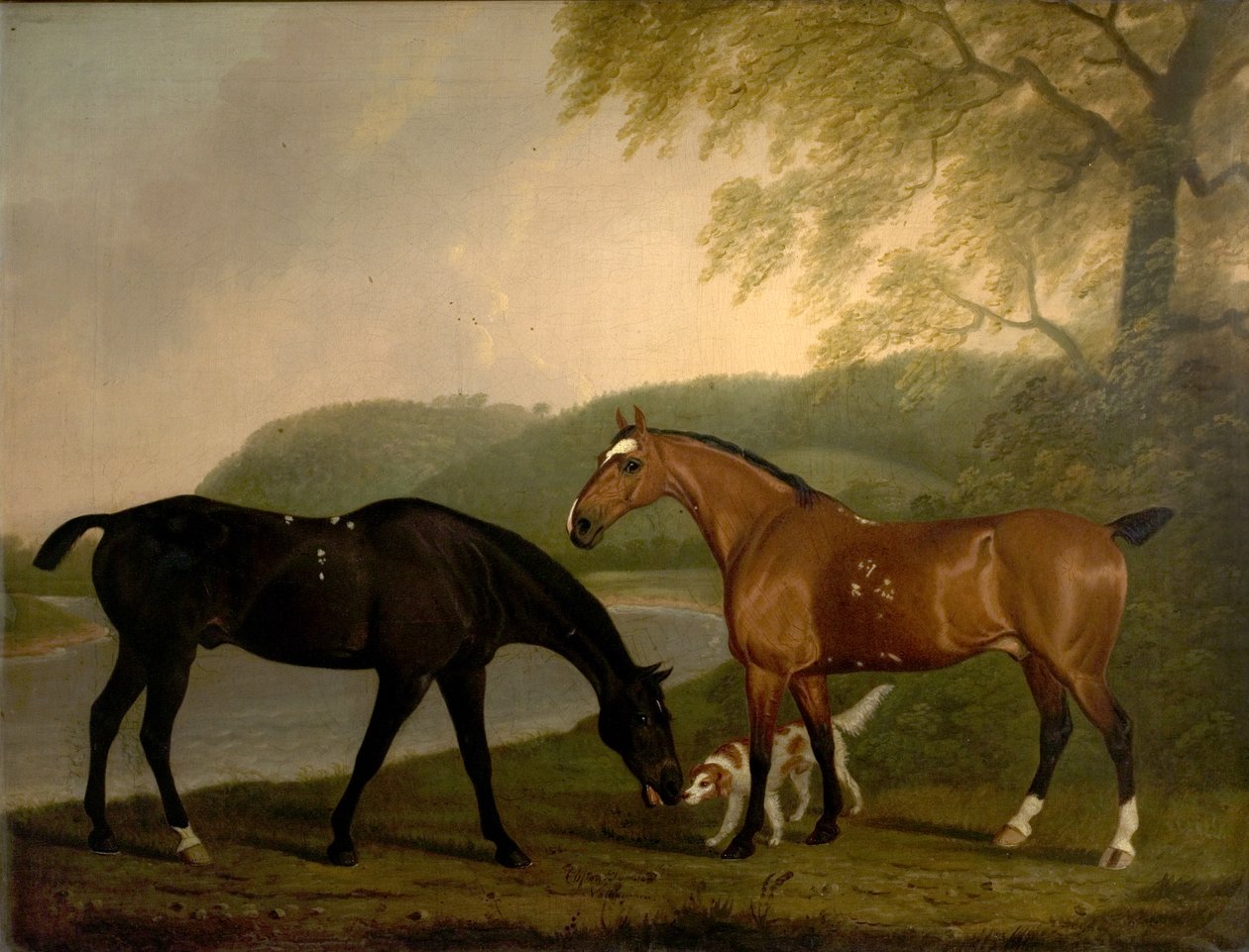 Caballos y perro en un paisaje, c.1830 de Clifton Tomson