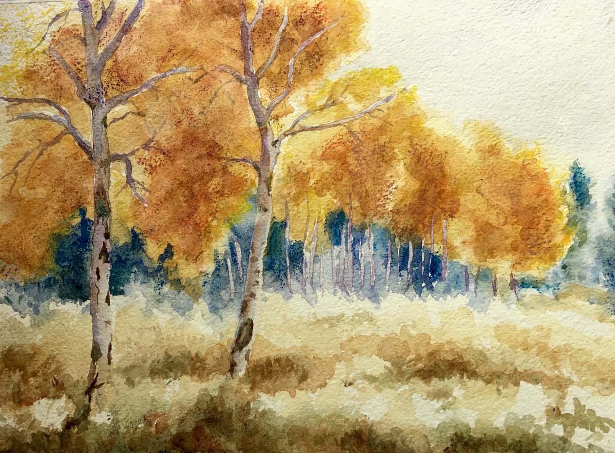 Álamos otoñales en los Tetons, 2011 (acuarela) de Clive Wilson
