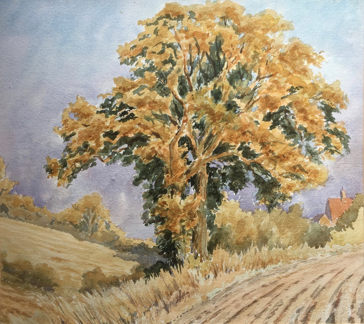 Puesta de sol de la cosecha, North Denford de Clive Wilson