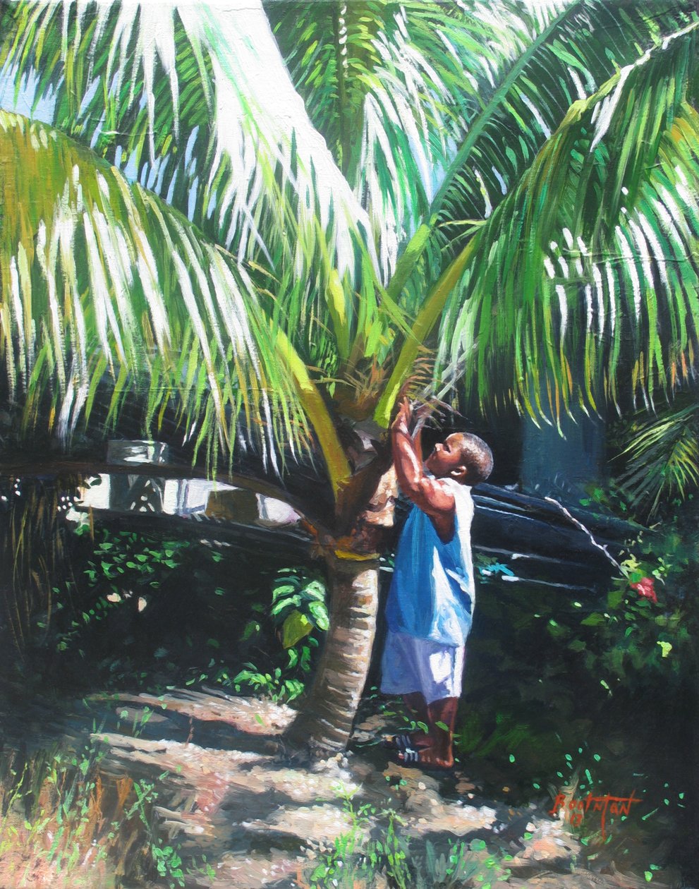 Sombra de coco, 2014 de Colin Bootman