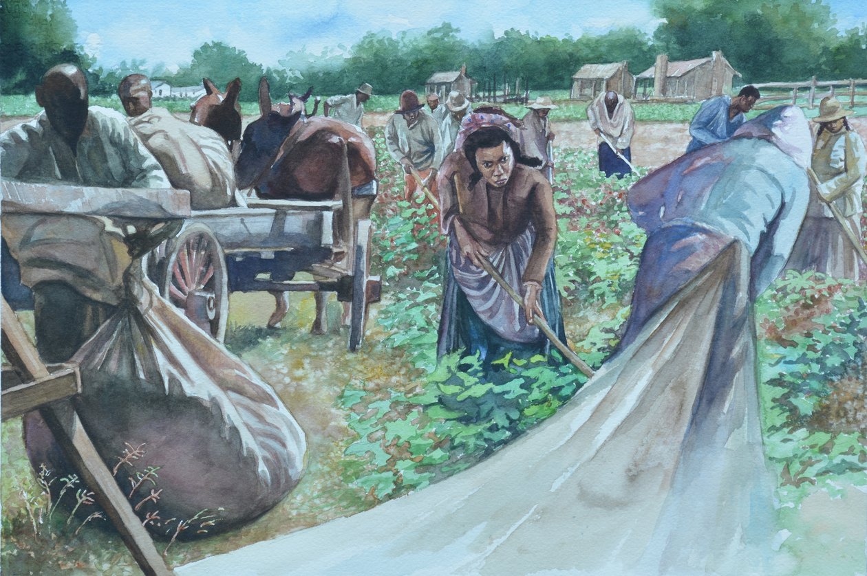 Demoledor, 2010 de Colin Bootman