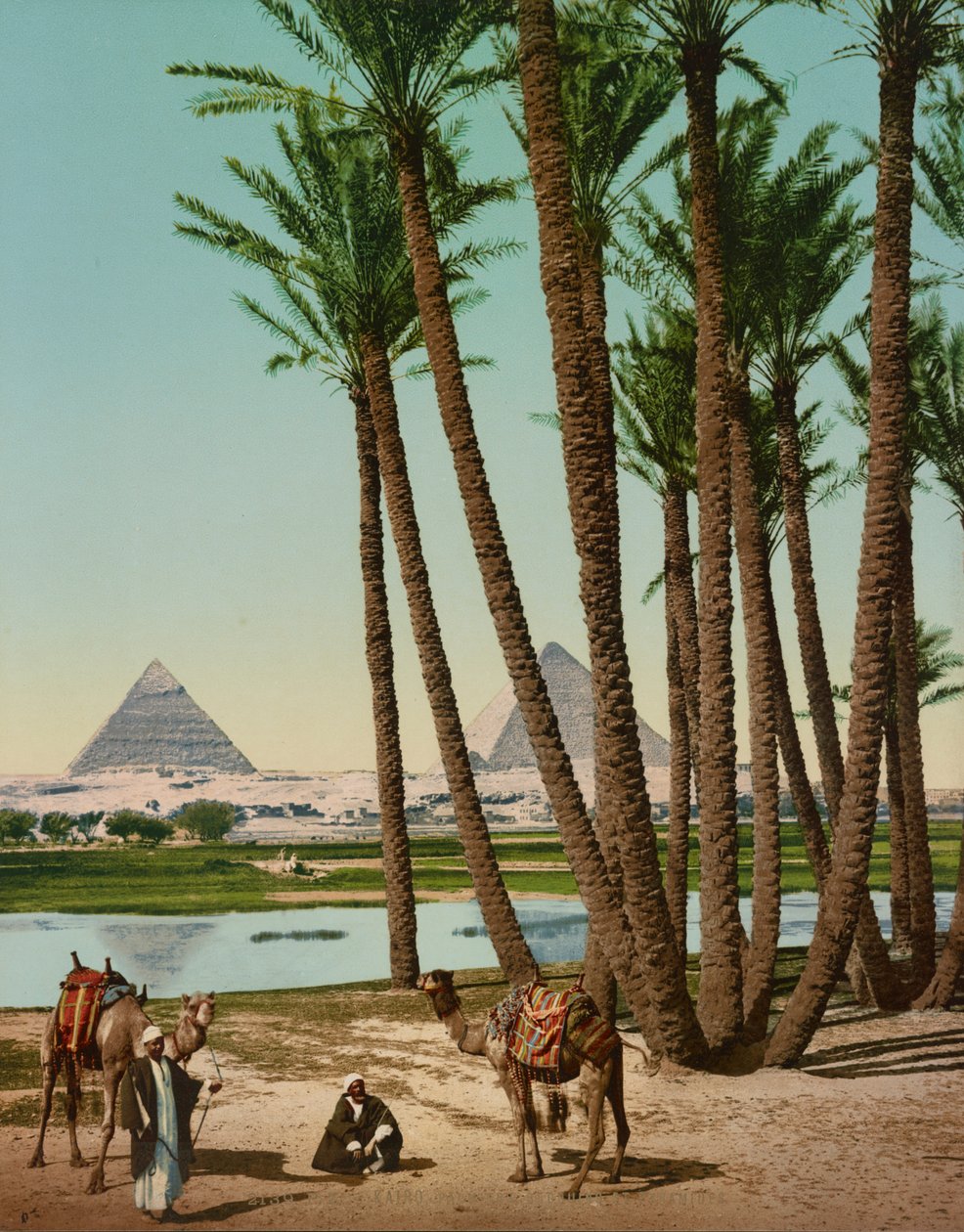 Palmeras, beduinos y pirámides, El Cairo, Egipto de Company Photoglob