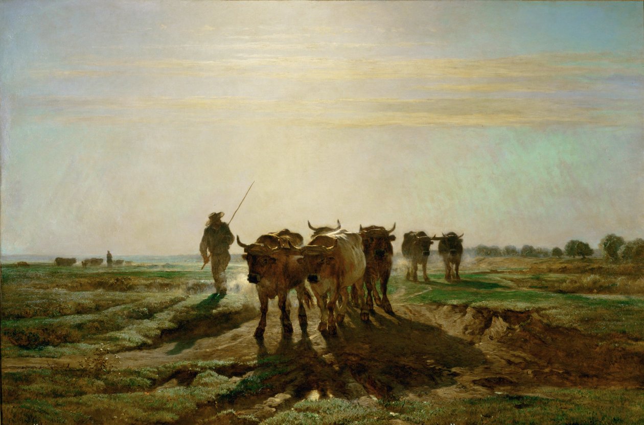 Boeufs se rendant au travail - ganado caminando al trabajo, mañana. 1855 ... de Constant-Emile Troyon