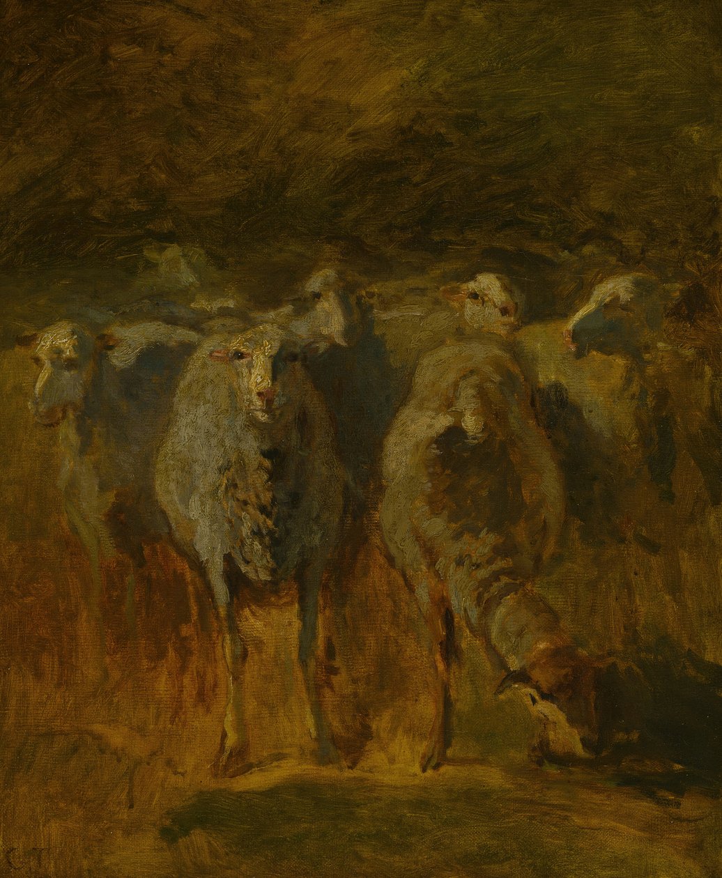 Estudio inacabado de ovejas, c. 1850 de Constant Troyon