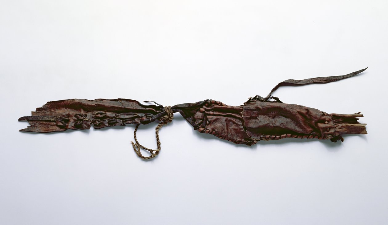Fragmento de piel encontrado con el Hombre de Hielo Oetzi de Copper Age