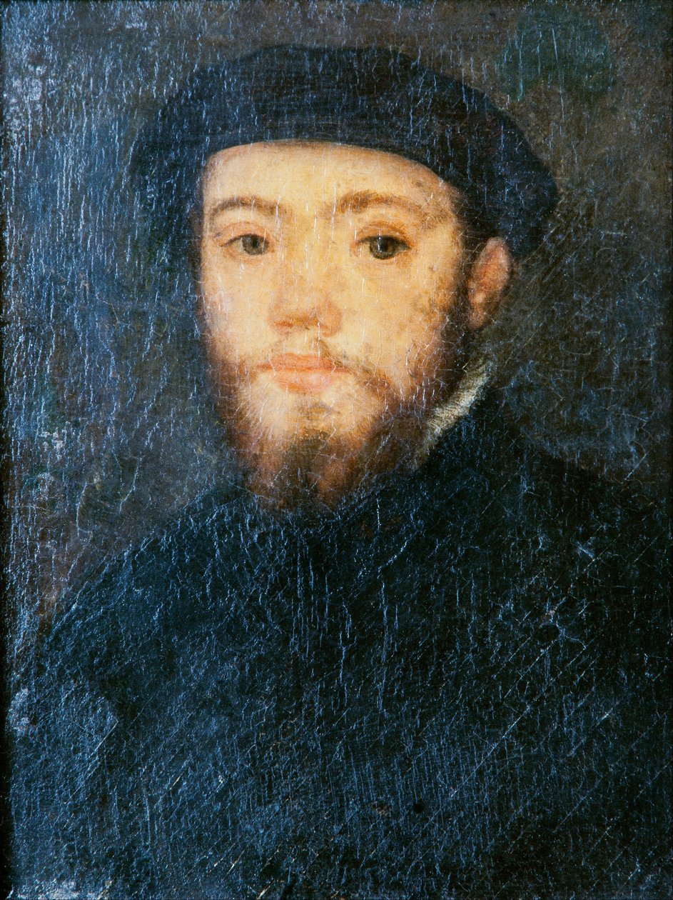 Retrato de un hombre de Corneille de Lyon