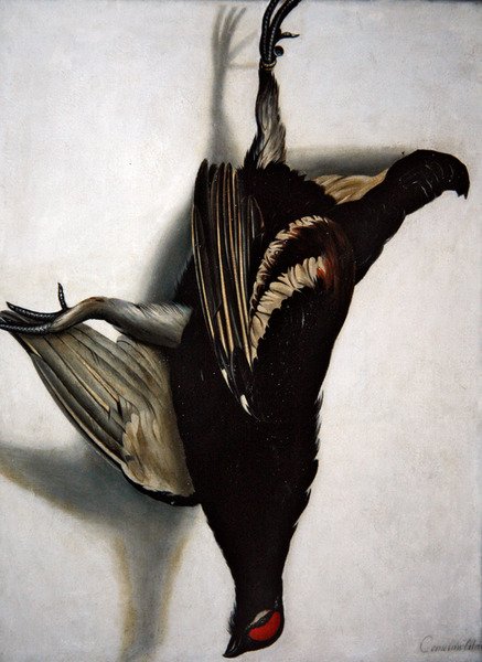 Un trampantojo de un gallo negro de Cornelis Biltius