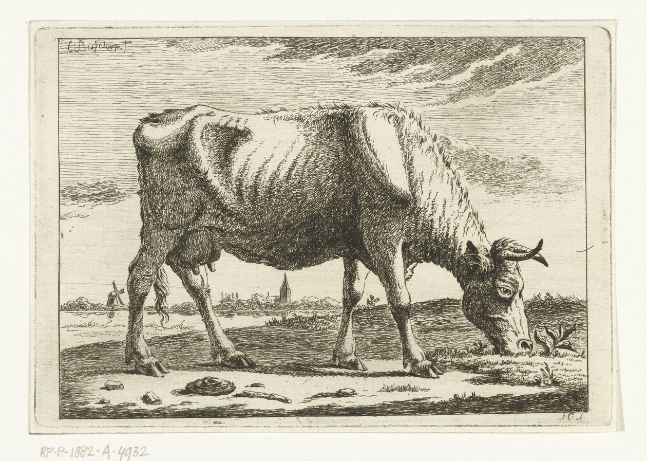 Paisaje con vaca pastando Vacas (título de la serie) de Cornelis  Bisschop
