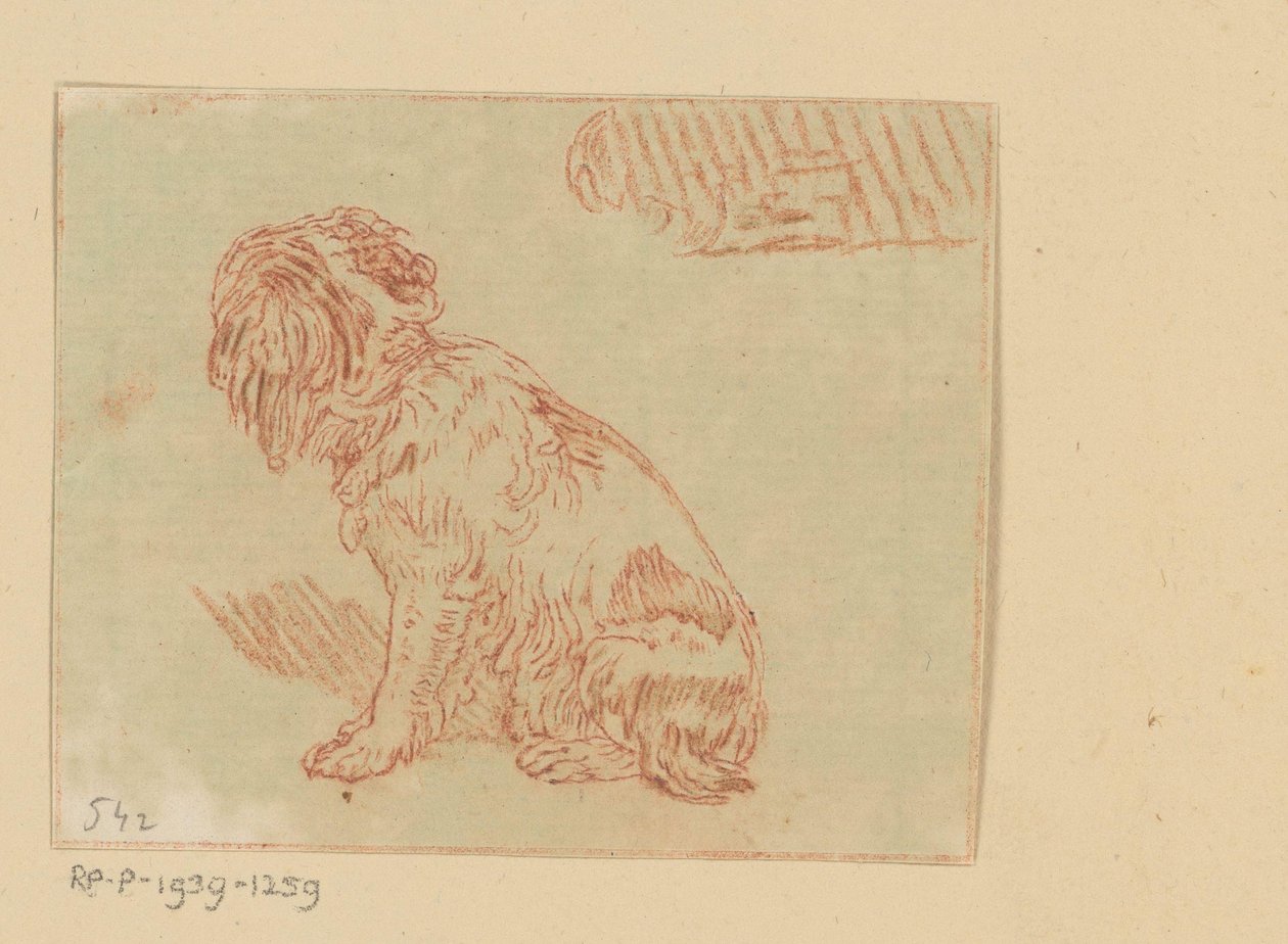 Perro sentado de Cornelis Brouwer (possibly)