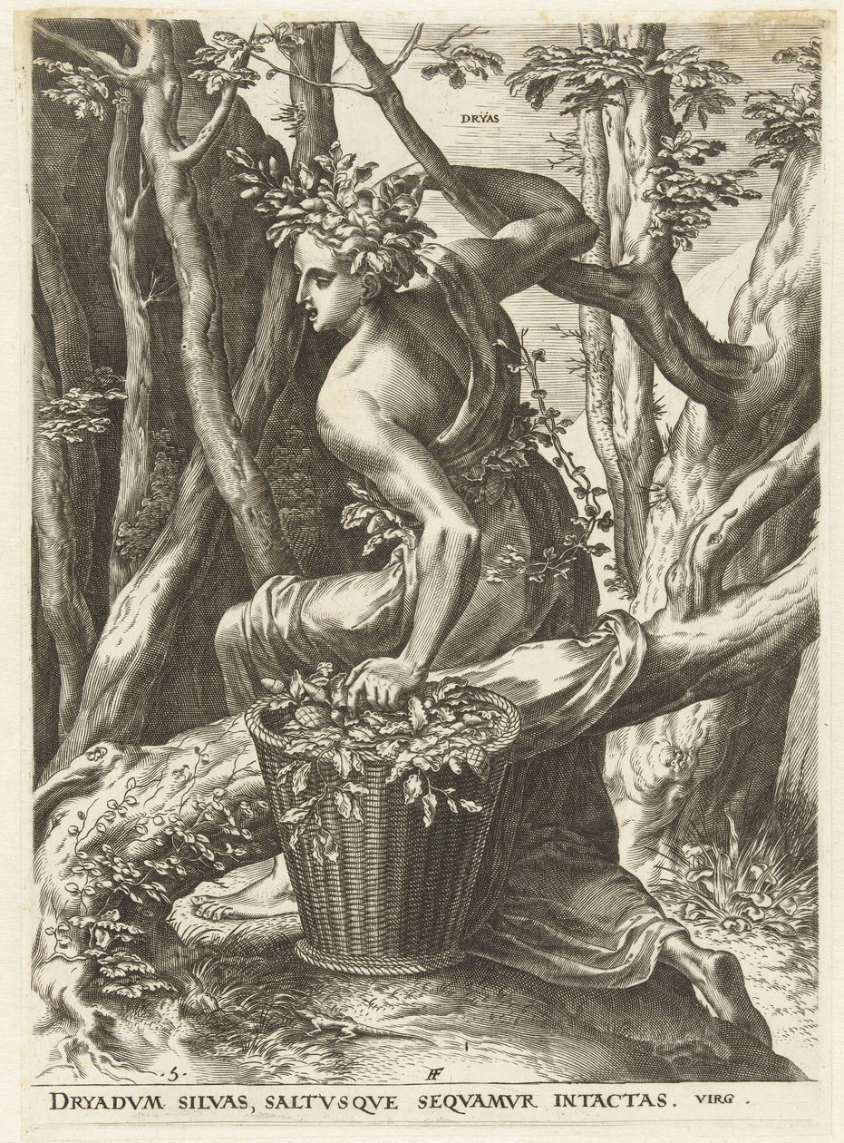 Dryas (título sobre el objeto) Diosas y ninfas (título de la serie) de Cornelis Cort