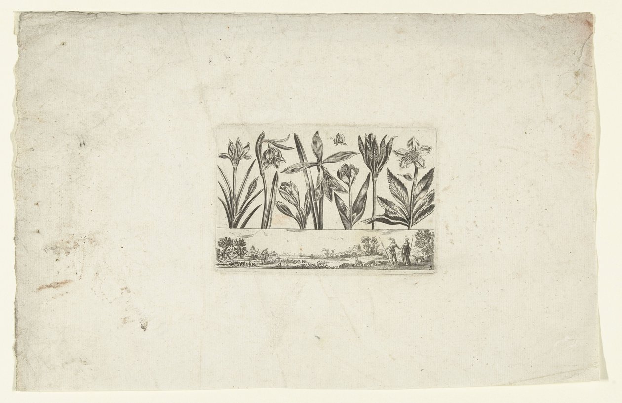 Fila de flores sobre el paisaje Flores y paisajes (título de la serie) de Cornelis Danckerts (I)