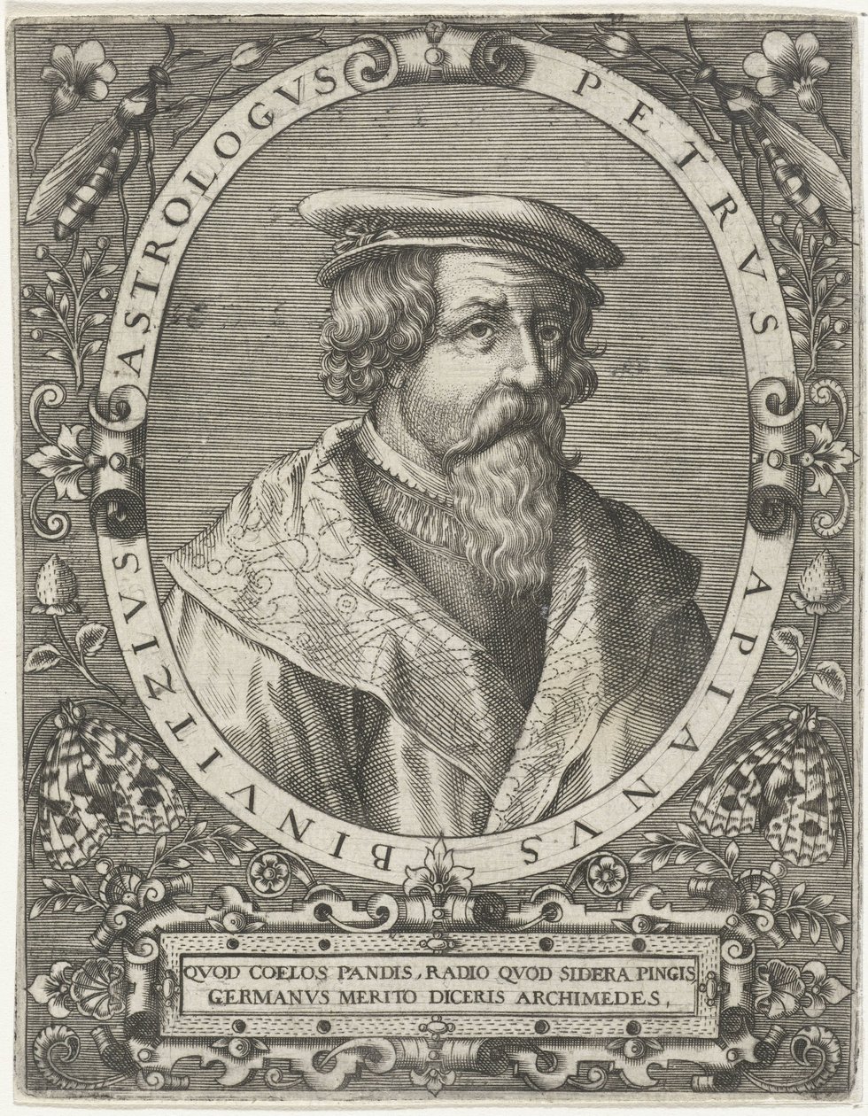 Retrato de Pedro Apiano Petrus Apianus Binuitzius (título sobre el objeto) de Cornelis Galle (I)