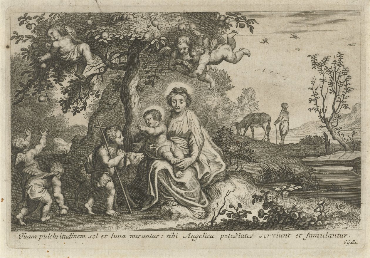 María con el Niño y Juan el Bautista de Cornelis Galle (II)