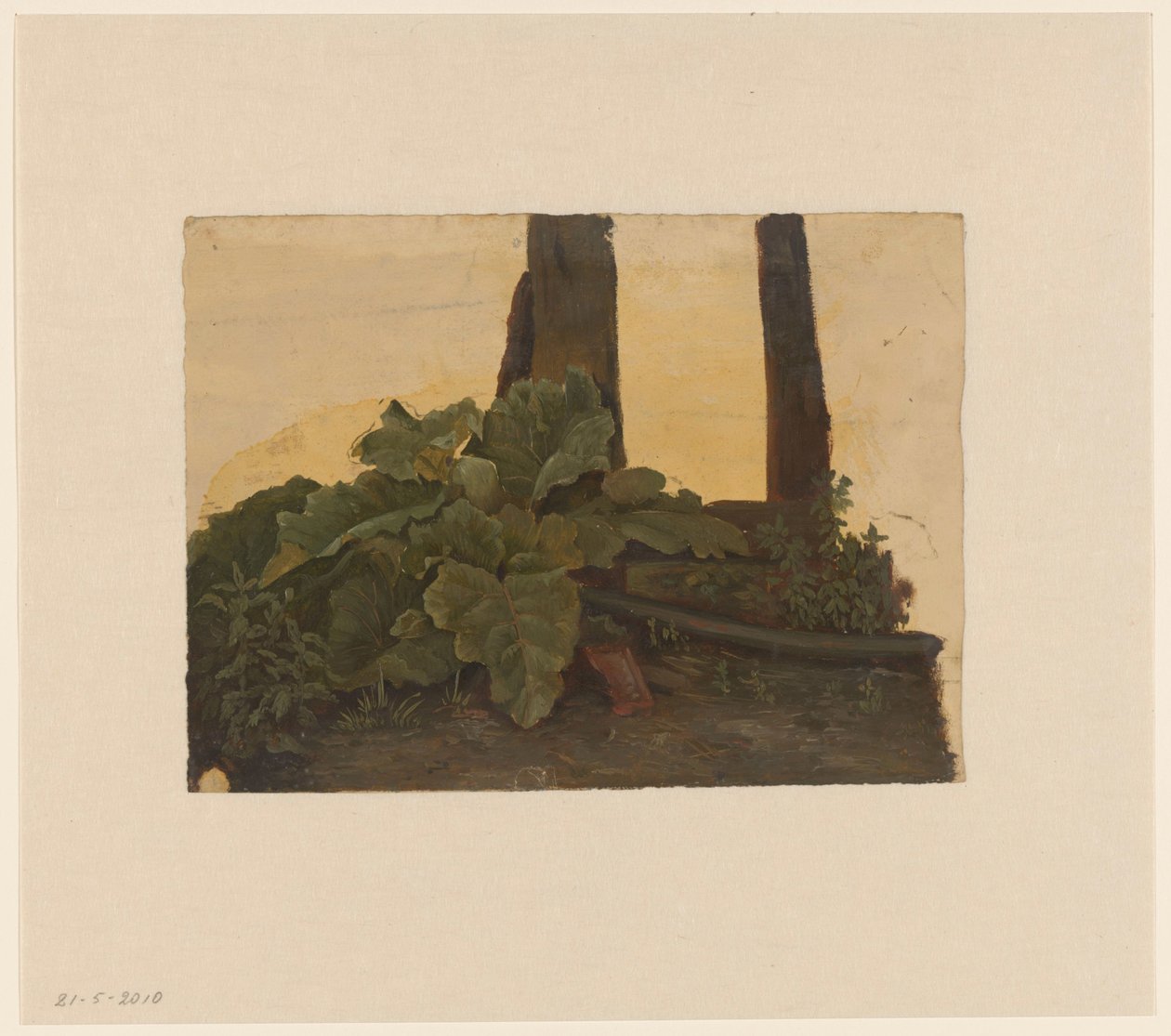 Plantas en la base de un tronco de Cornelis Johannes de Vogel