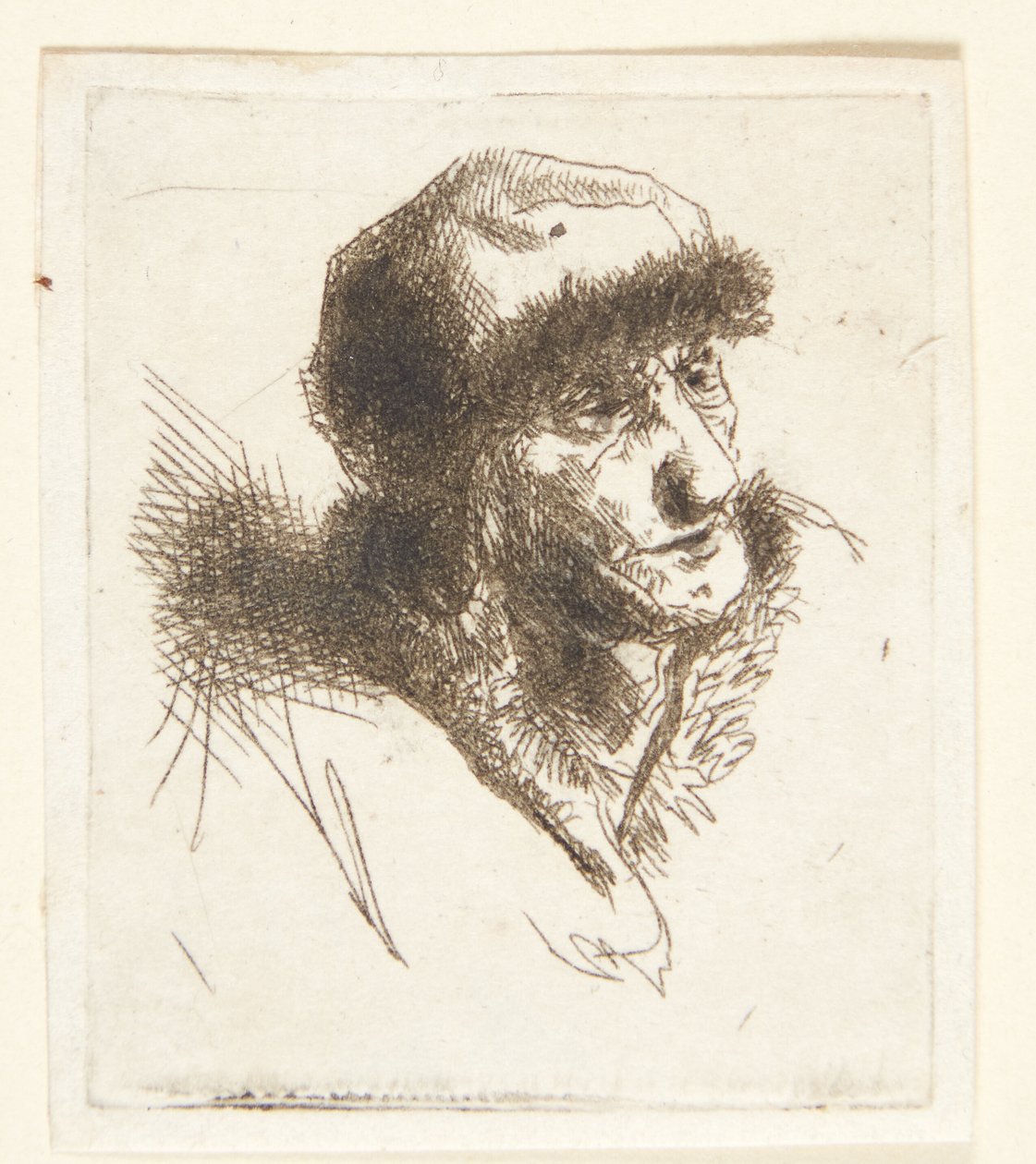 Anciana con sombrero de piel de Cornelis Pietersz Bega