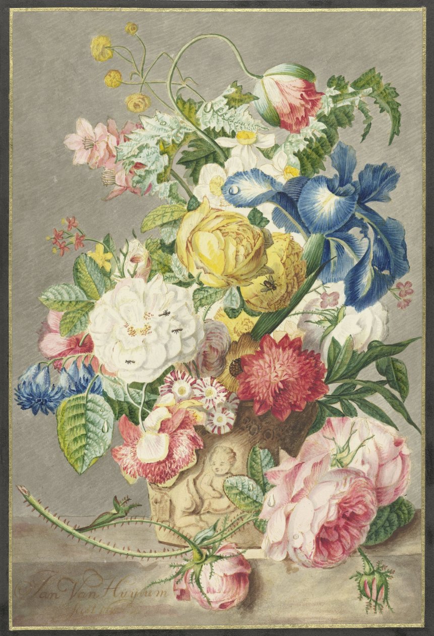 Ramo de Cornelis Ploos van Amstel