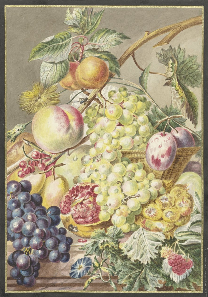 pedazo de fruta de Cornelis Ploos van Amstel