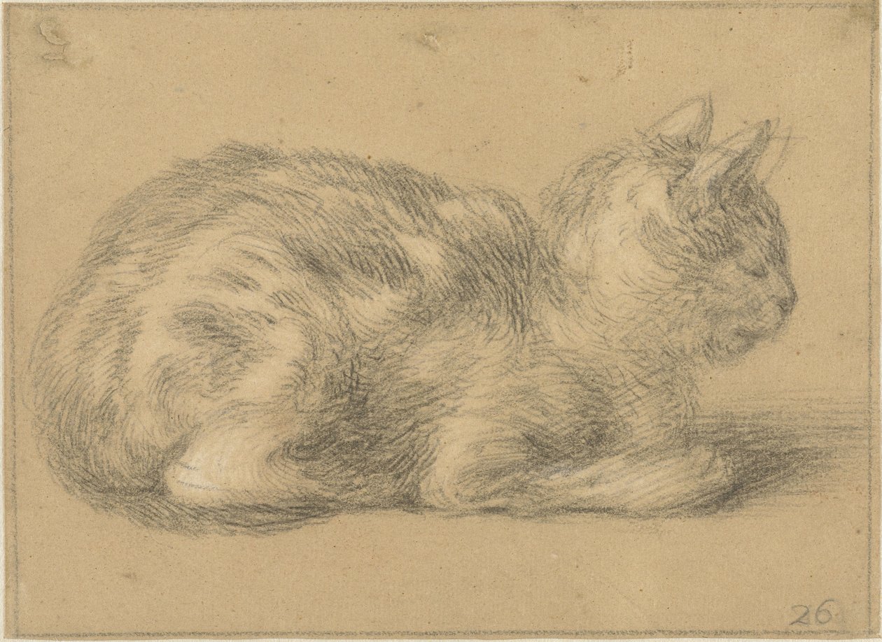 Gato sentado, a la derecha de Cornelis Saftleven (possibly)
