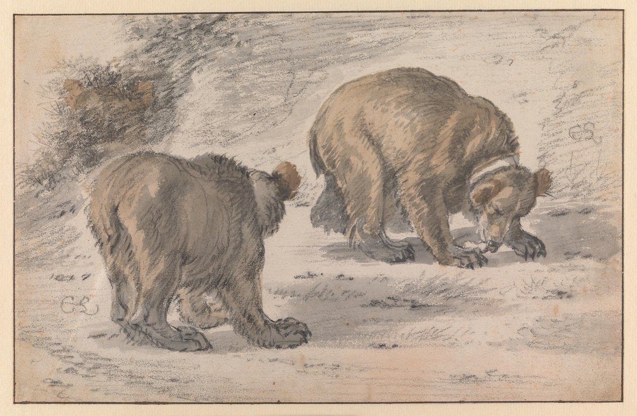 Un oso en diferentes posturas de Cornelis Saftleven