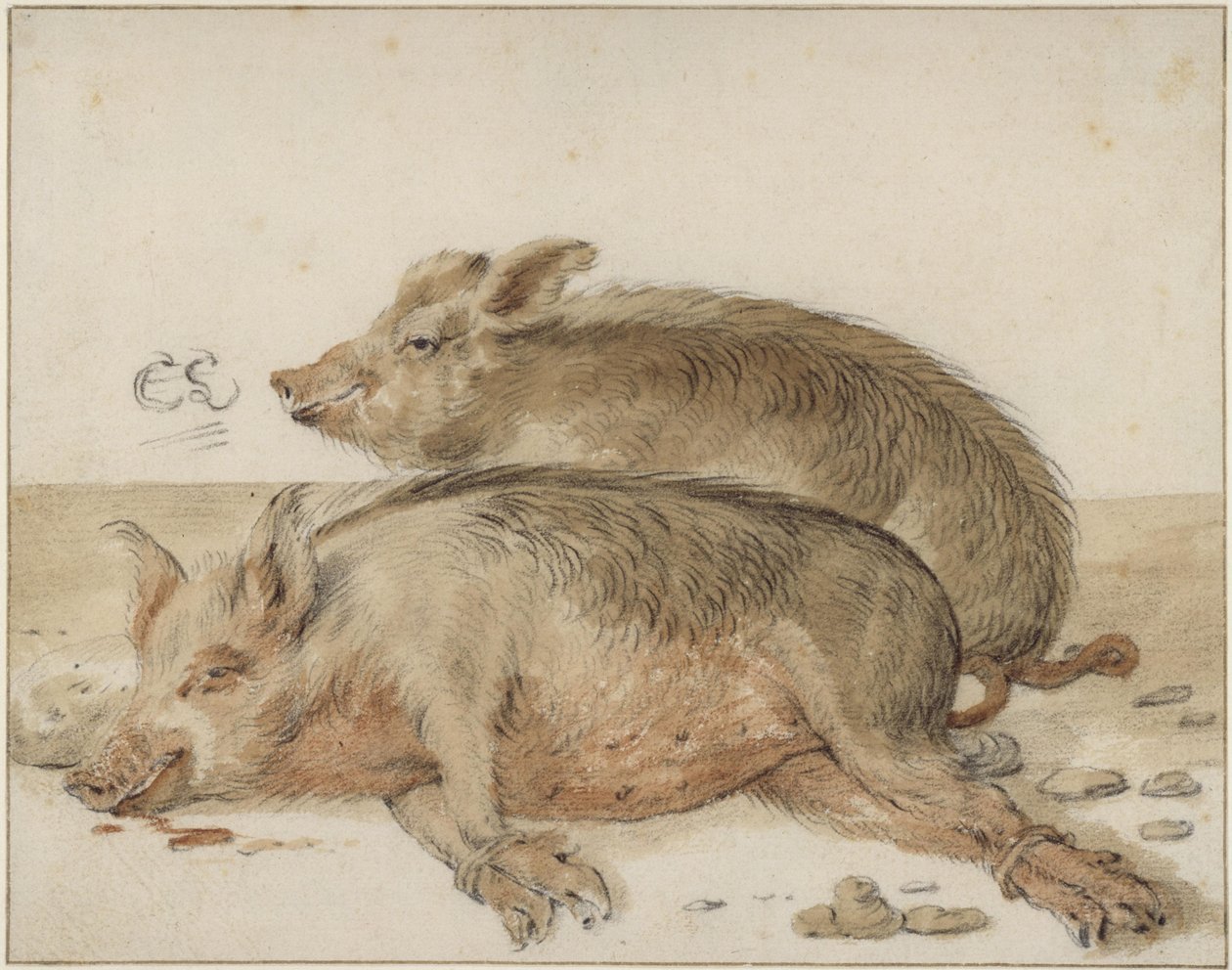 Dos cerdos de Cornelis Saftleven