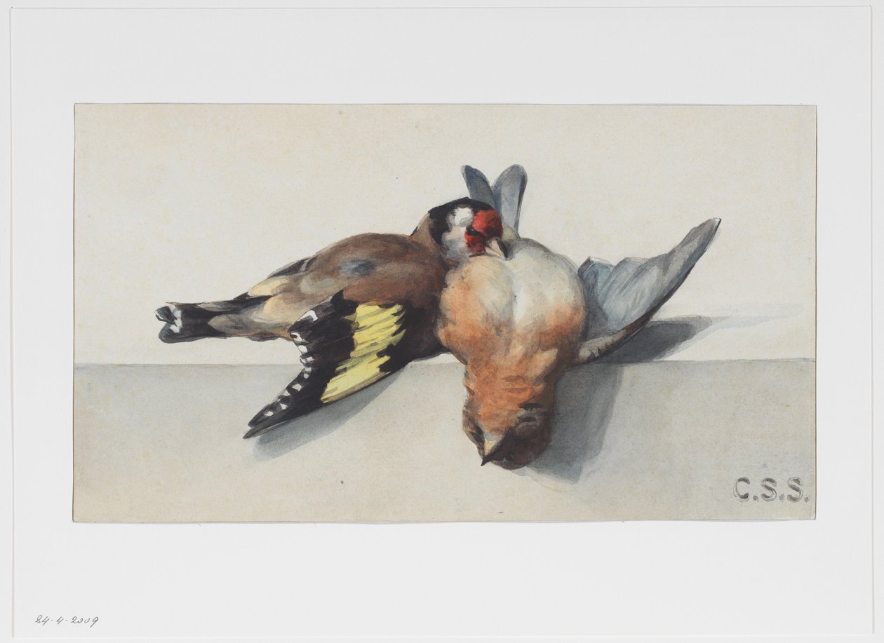 Bodegón con dos pájaros muertos de Cornelis Samuel Stortenbeker