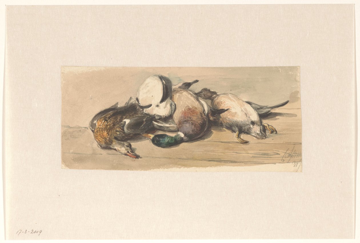 Bodegón con cuatro patos de Cornelis Springer