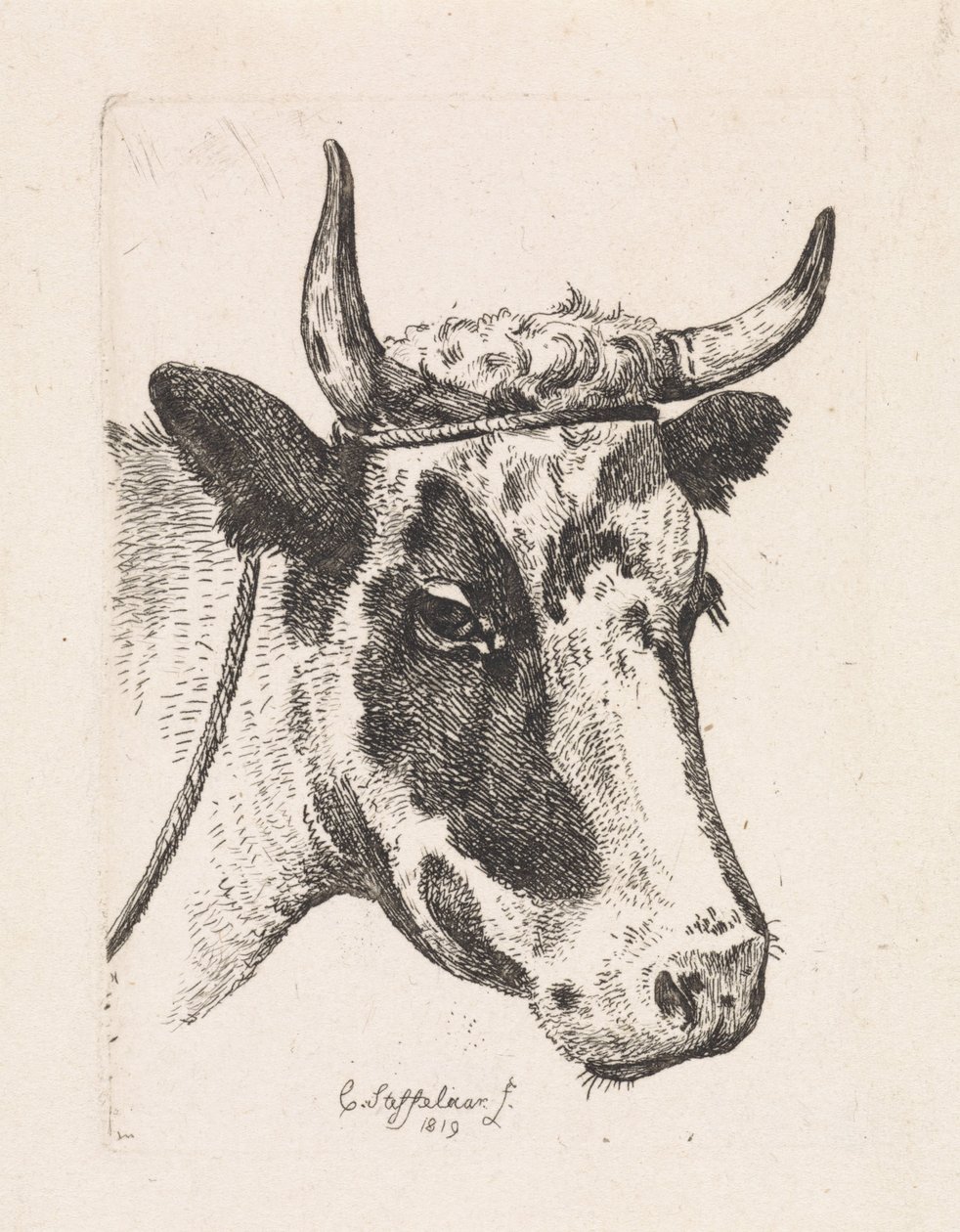 Cabeza de vaca manchada Primera suite (título de la serie) de Cornelis Steffelaar