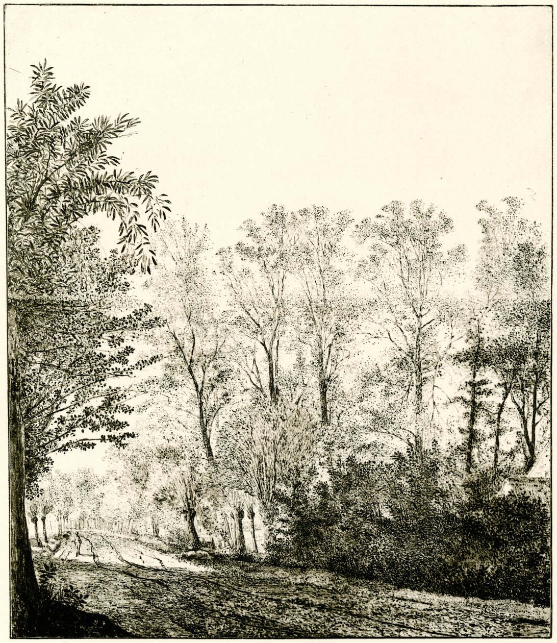 Sendero a través de un bosque de Hendrick Cornelisz. Vroom