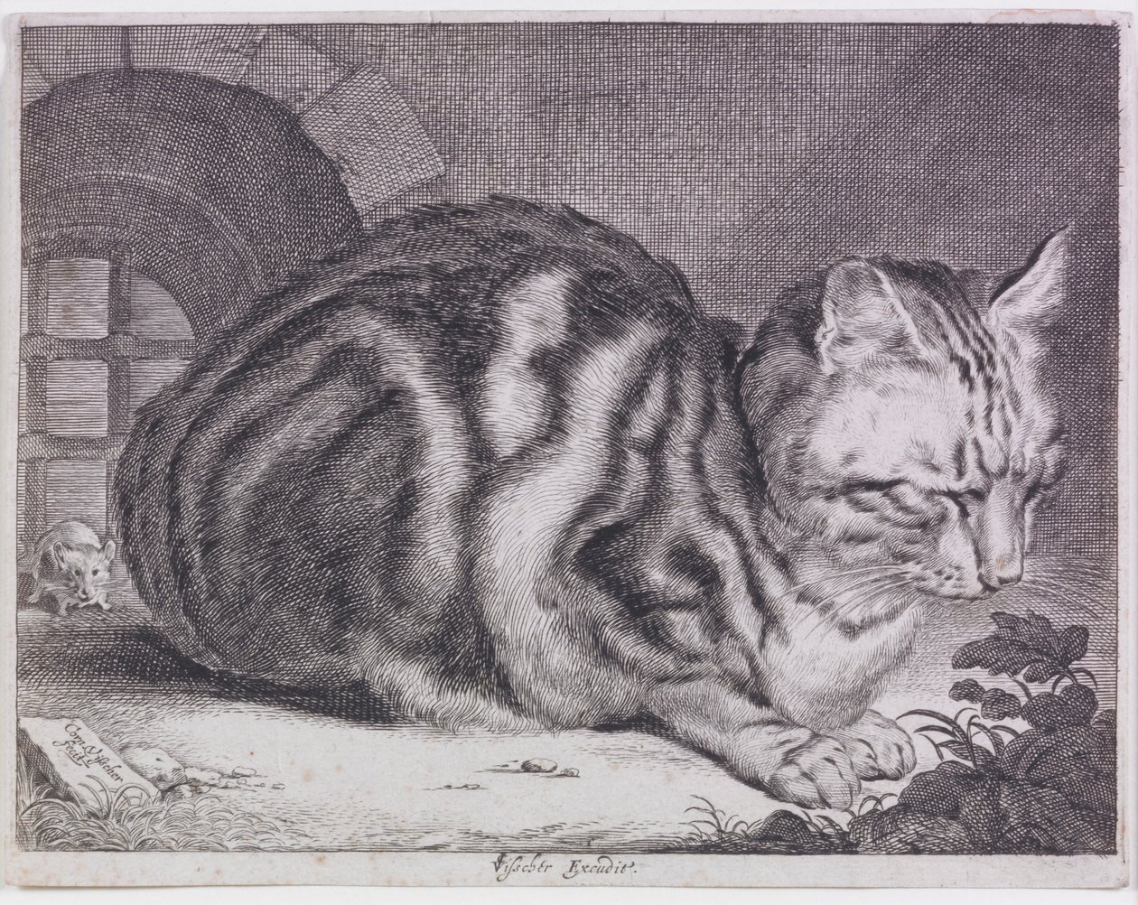 el gato grande de Cornelis de Visscher
