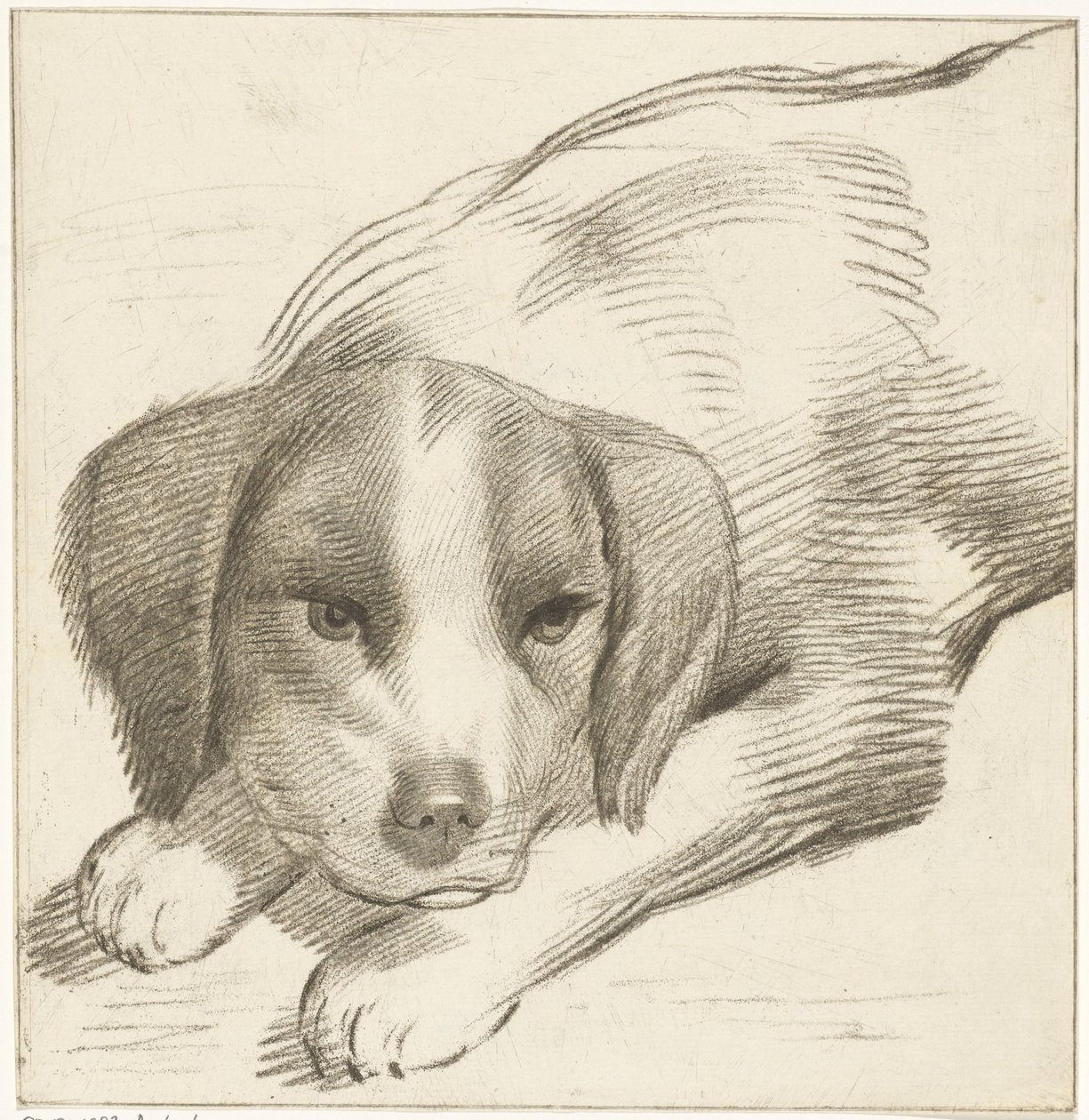 perro mentiroso de Cornelis van Noorde