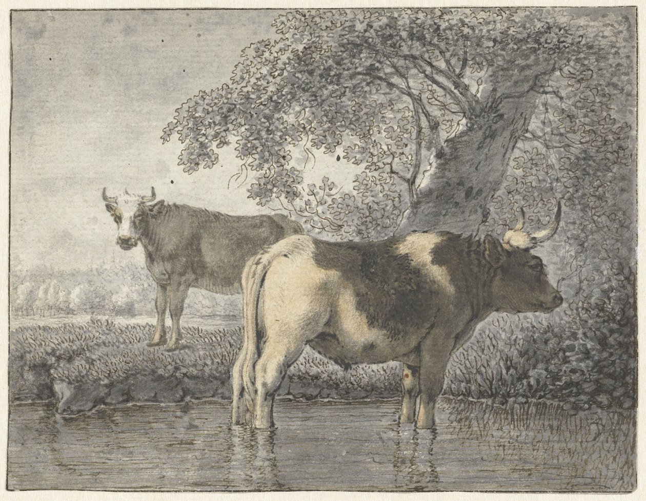 Dos vacas bajo un árbol junto al agua de Cornelis van Noorde